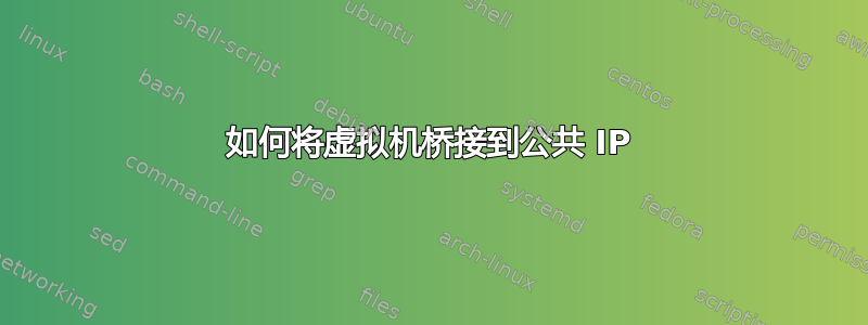 如何将虚拟机桥接到公共 IP