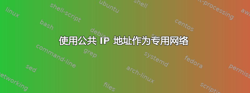 使用公共 IP 地址作为专用网络