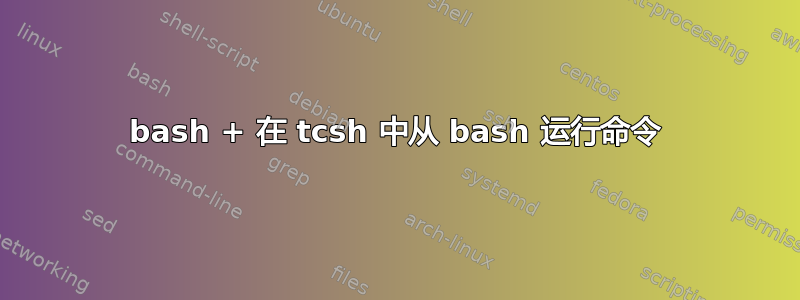 bash + 在 tcsh 中从 bash 运行命令