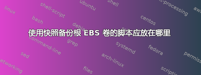 使用快照备份根 EBS 卷的脚本应放在哪里