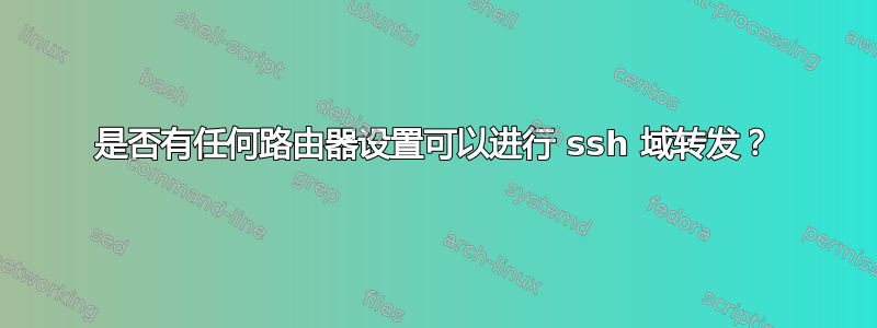 是否有任何路由器设置可以进行 ssh 域转发？