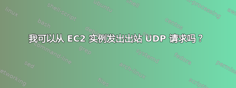 我可以从 EC2 实例发出出站 UDP 请求吗？