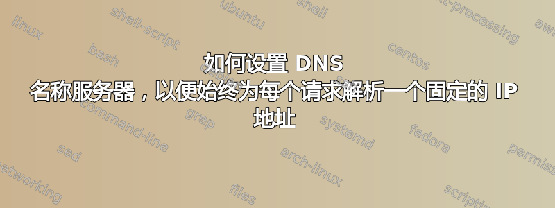 如何设置 DNS 名称服务器，以便始终为每个请求解析一个固定的 IP 地址