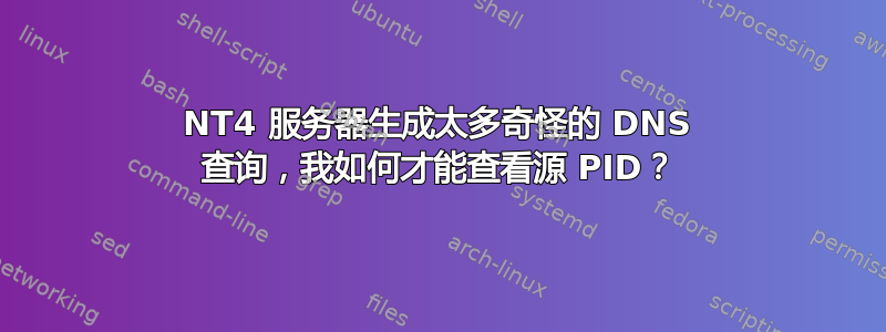 NT4 服务器生成太多奇怪的 DNS 查询，我如何才能查看源 PID？