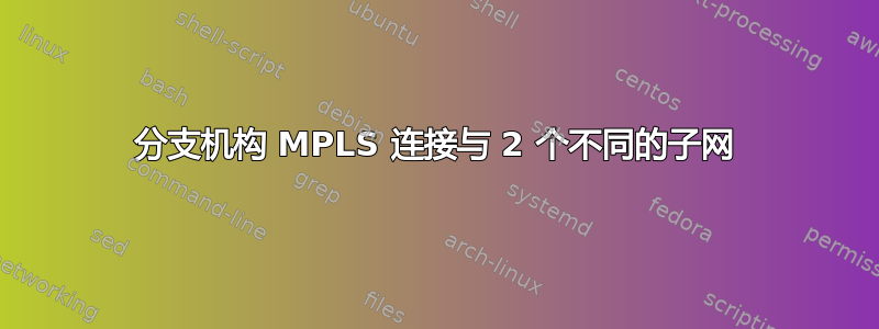 分支机构 MPLS 连接与 2 个不同的子网