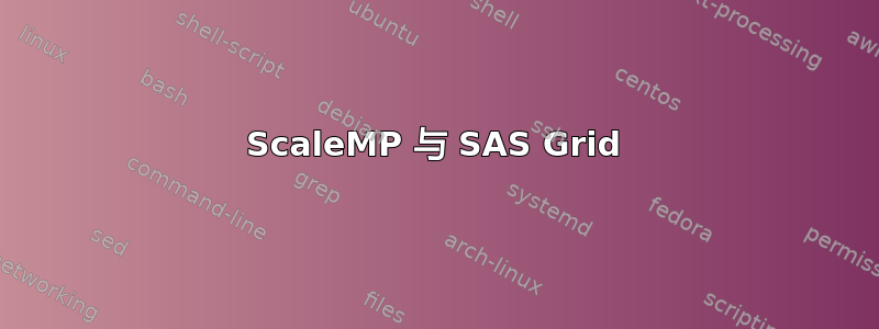 ScaleMP 与 SAS Grid