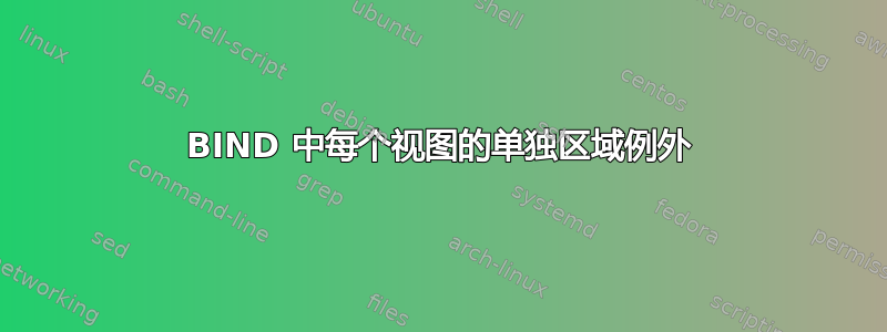 BIND 中每个视图的单独区域例外