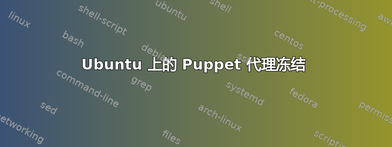 Ubuntu 上的 Puppet 代理冻结