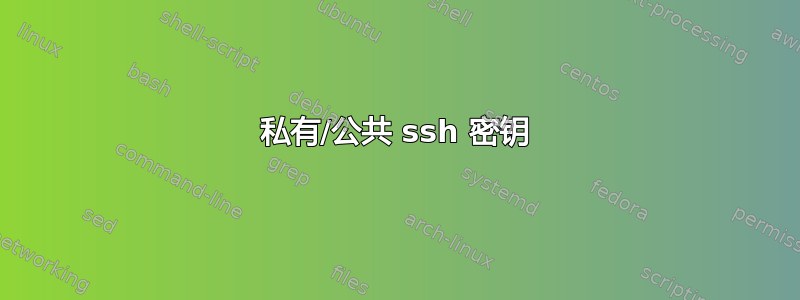 私有/公共 ssh 密钥