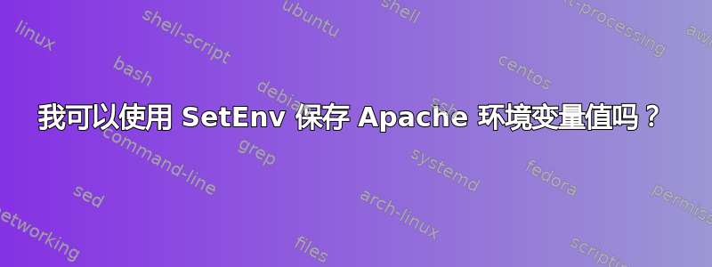 我可以使用 SetEnv 保存 Apache 环境变量值吗？