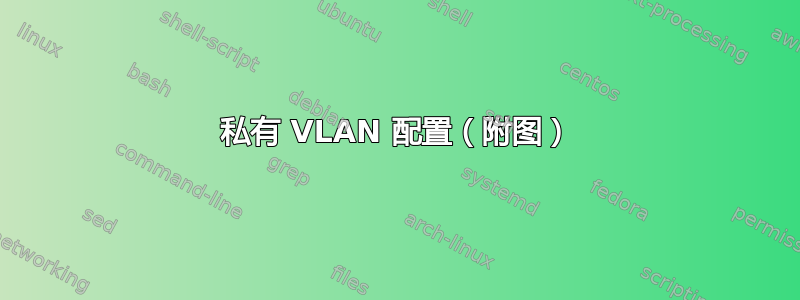 私有 VLAN 配置（附图）