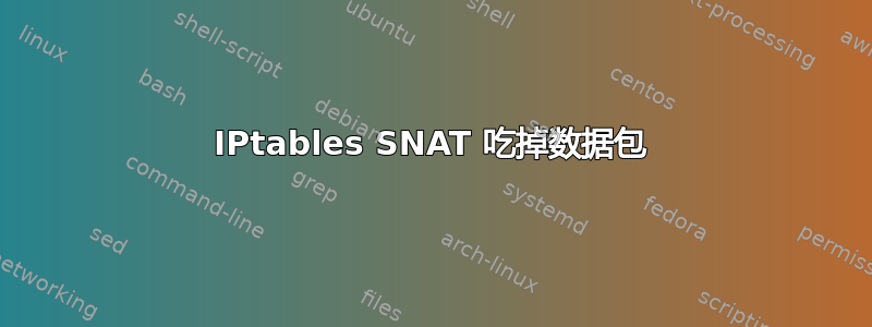 IPtables SNAT 吃掉数据包