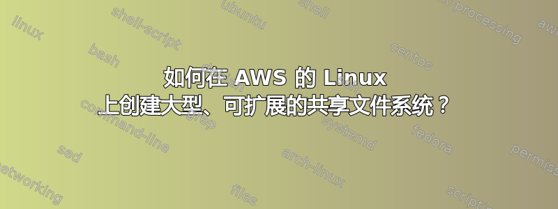 如何在 AWS 的 Linux 上创建大型、可扩展的共享文件系统？