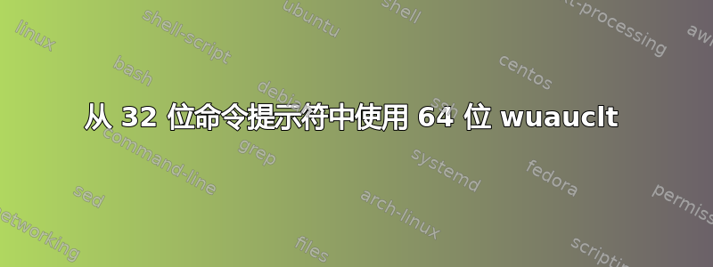 从 32 位命令提示符中使用 64 位 wuauclt