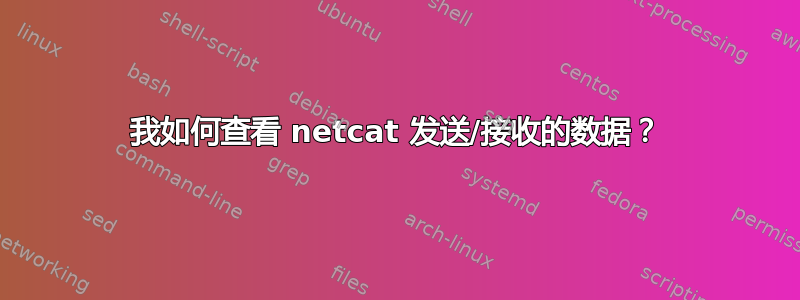 我如何查看 netcat 发送/接收的数据？