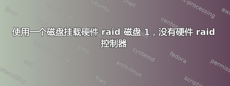 使用一个磁盘挂载硬件 raid 磁盘 1，没有硬件 raid 控制器