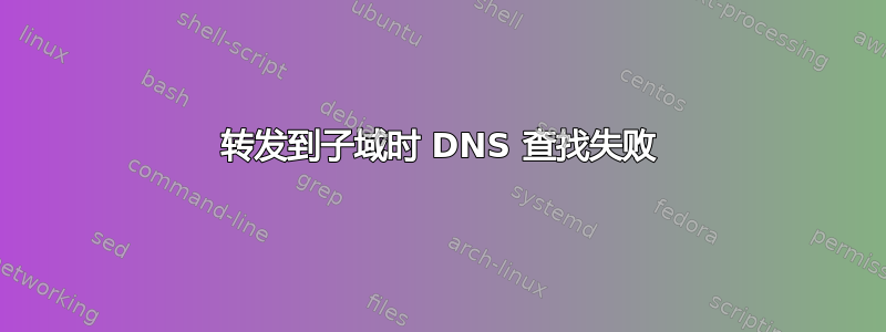 转发到子域时 DNS 查找失败