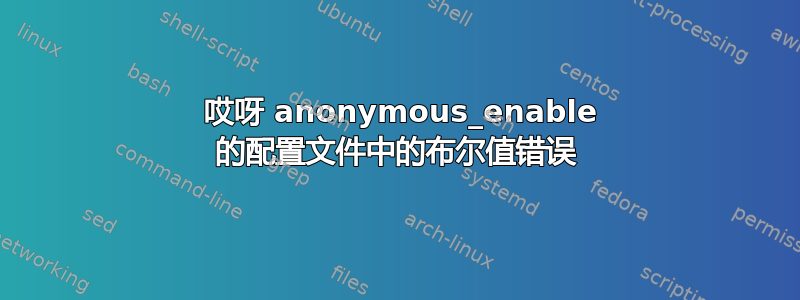 500 哎呀 anonymous_enable 的配置文件中的布尔值错误