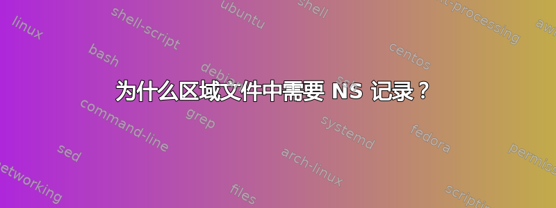 为什么区域文件中需要 NS 记录？