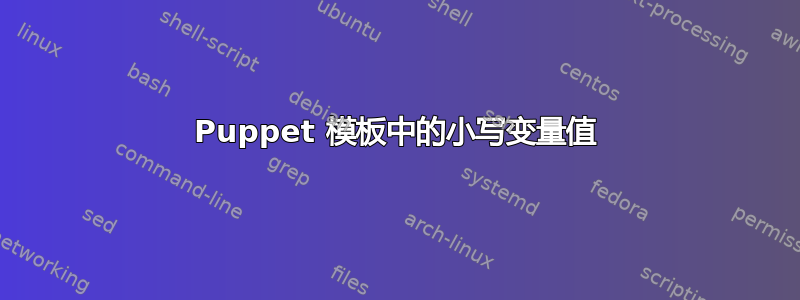 Puppet 模板中的小写变量值