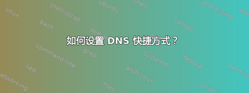 如何设置 DNS 快捷方式？