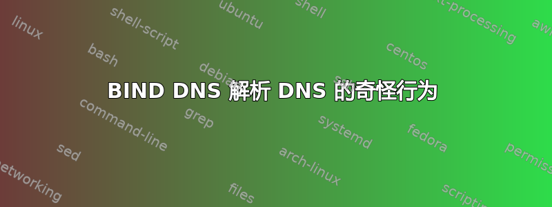 BIND DNS 解析 DNS 的奇怪行为