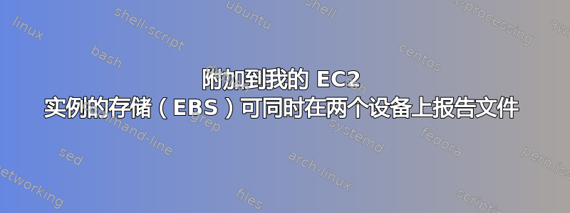 附加到我的 EC2 实例的存储（EBS）可同时在两个设备上报告文件