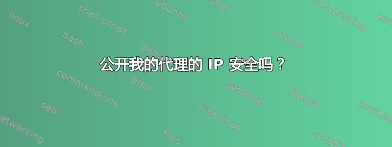 公开我的代理的 IP 安全吗？