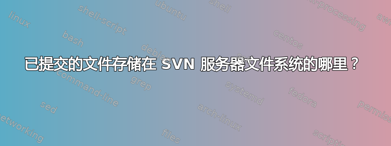 已提交的文件存储在 SVN 服务器文件系统的哪里？