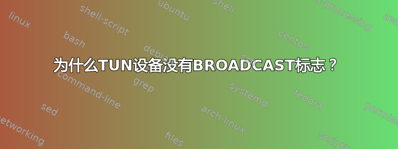 为什么TUN设备没有BROADCAST标志？