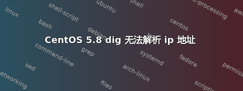 CentOS 5.8 dig 无法解析 ip 地址