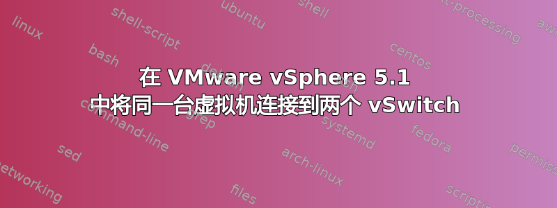 在 VMware vSphere 5.1 中将同一台虚拟机连接到两个 vSwitch