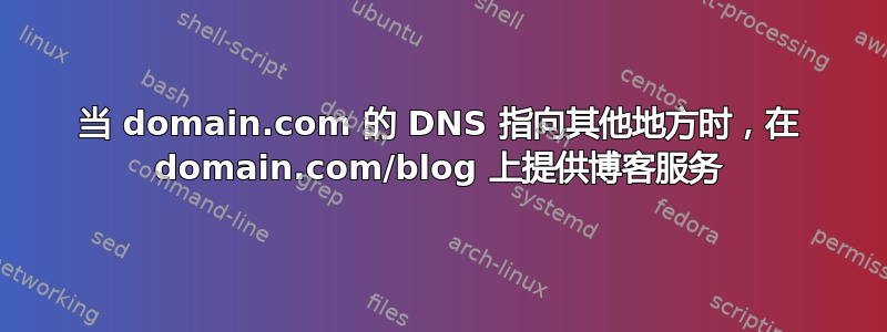 当 domain.com 的 DNS 指向其他地方时，在 domain.com/blog 上提供博客服务