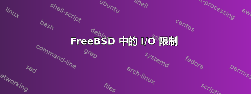 FreeBSD 中的 I/O 限制