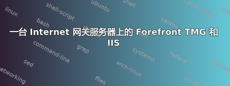 一台 Internet 网关服务器上的 Forefront TMG 和 IIS