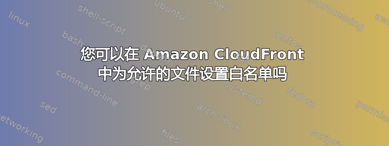 您可以在 Amazon CloudFront 中为允许的文件设置白名单吗