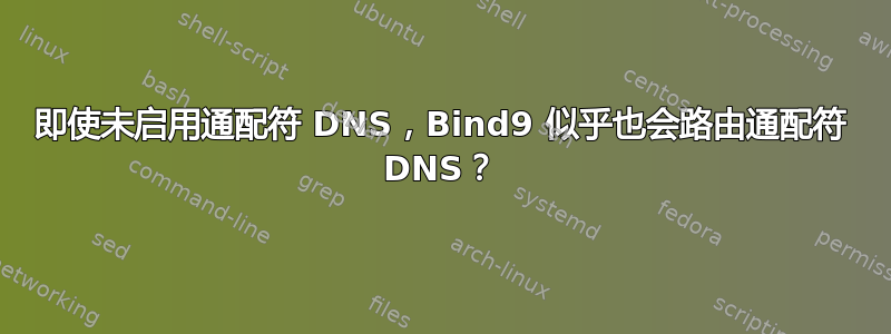 即使未启用通配符 DNS，Bind9 似乎也会路由通配符 DNS？