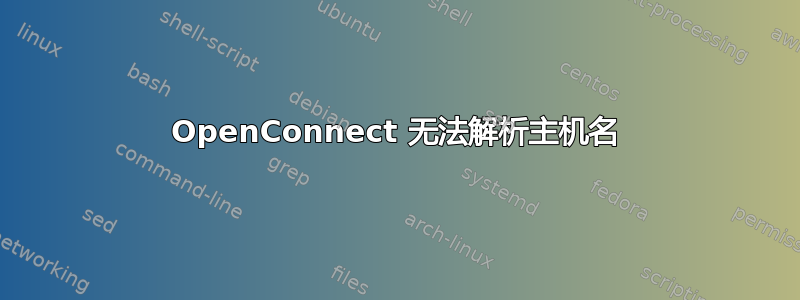 OpenConnect 无法解析主机名