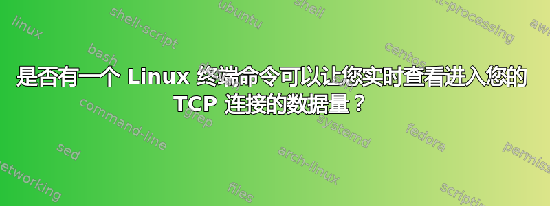 是否有一个 Linux 终端命令可以让您实时查看进入您的 TCP 连接的数据量？