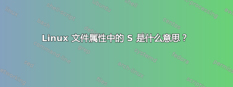 Linux 文件属性中的 S 是什么意思？