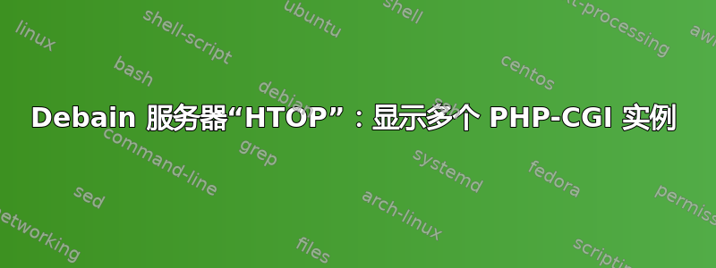 Debain 服务器“HTOP”：显示多个 PHP-CGI 实例