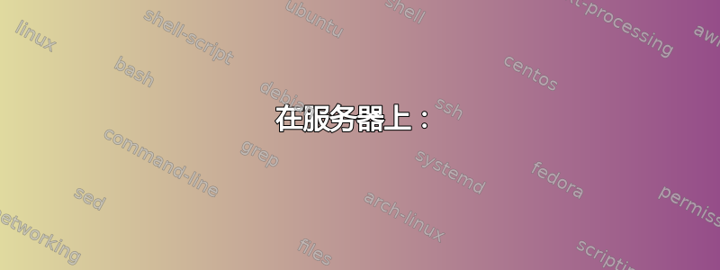 在服务器上：