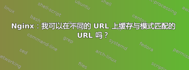 Nginx：我可以在不同的 URL 上缓存与模式匹配的 URL 吗？