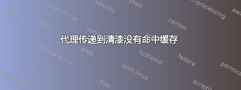 代理传递到清漆没有命中缓存