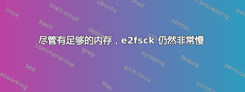 尽管有足够的内存，e2fsck 仍然非常慢