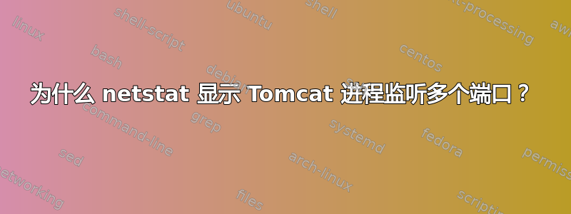 为什么 netstat 显示 Tomcat 进程监听多个端口？