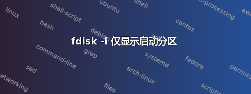 fdisk -l 仅显示启动分区