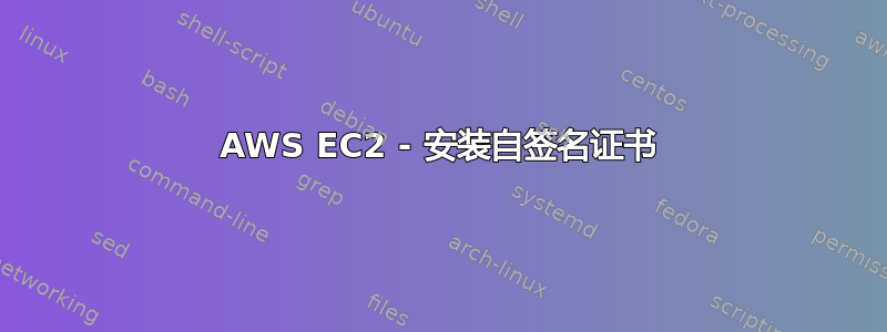 AWS EC2 - 安装自签名证书