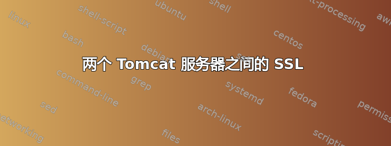 两个 Tomcat 服务器之间的 SSL