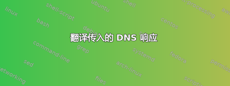 翻译传入的 DNS 响应